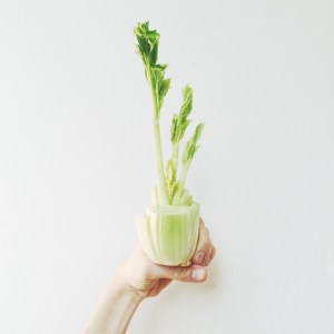 a3521-seler2bnaciowy