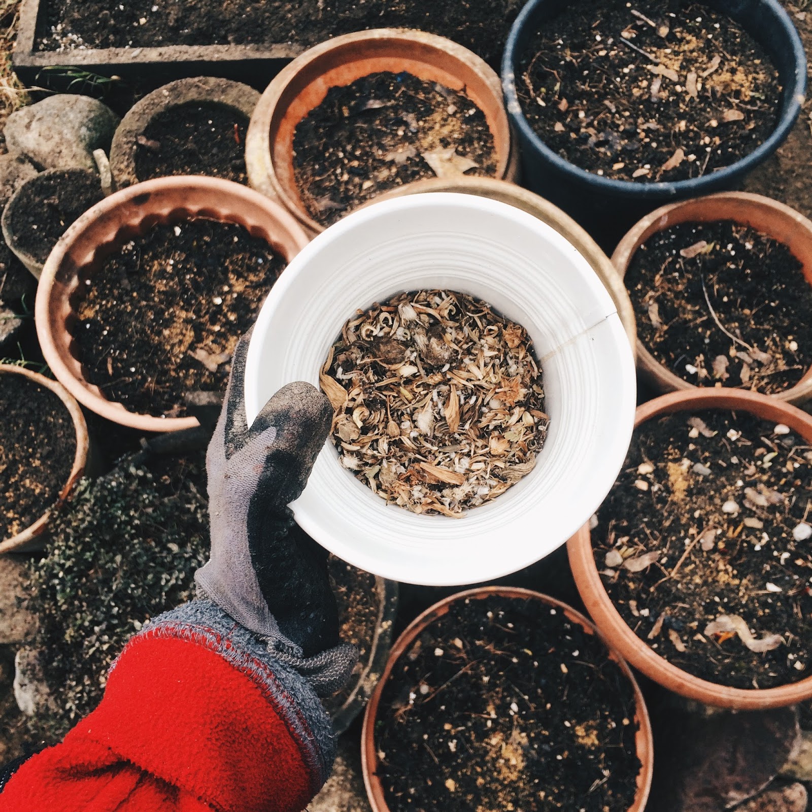 Processed with VSCO with hb2 preset