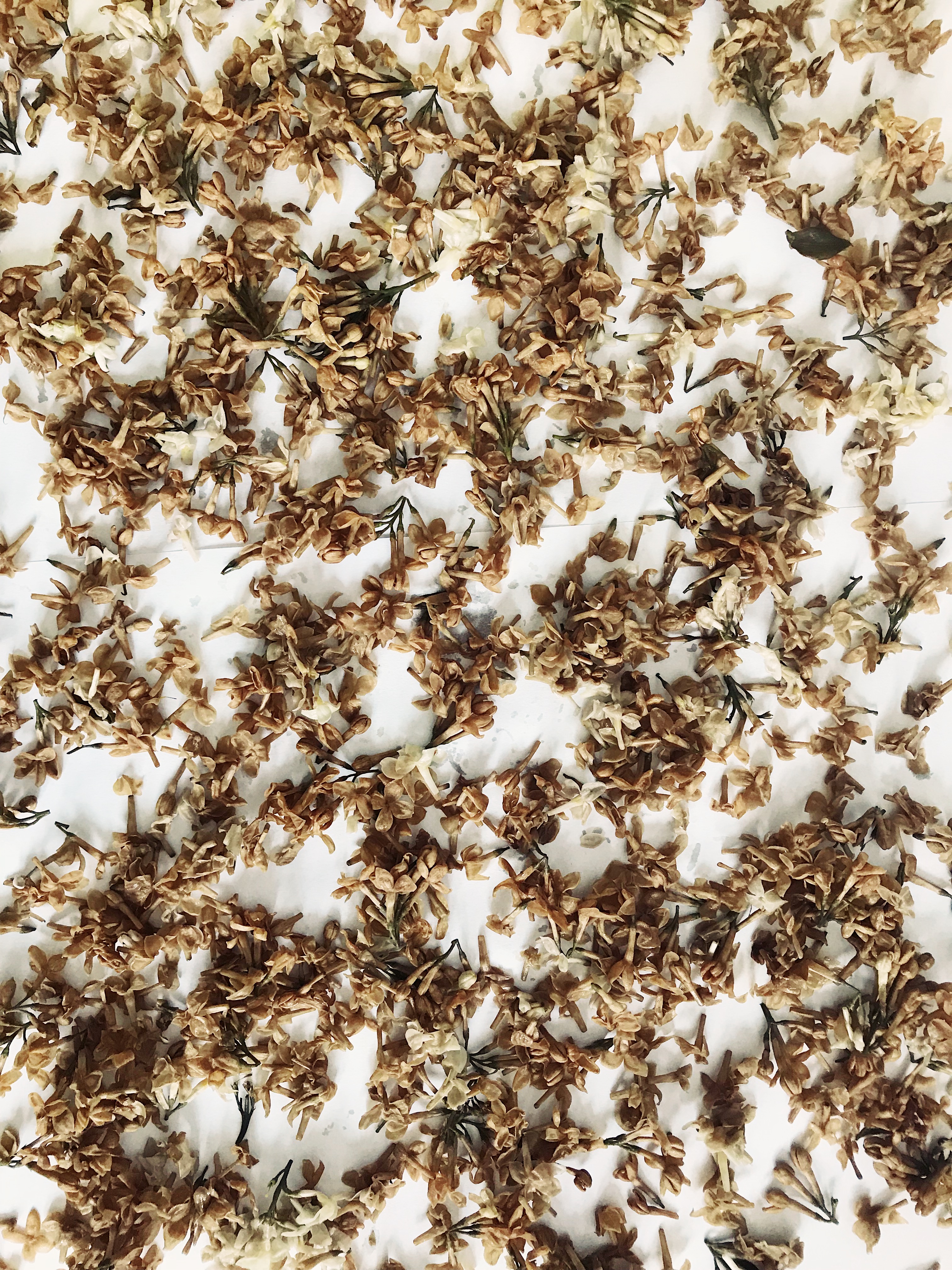 Processed with VSCO with nc preset