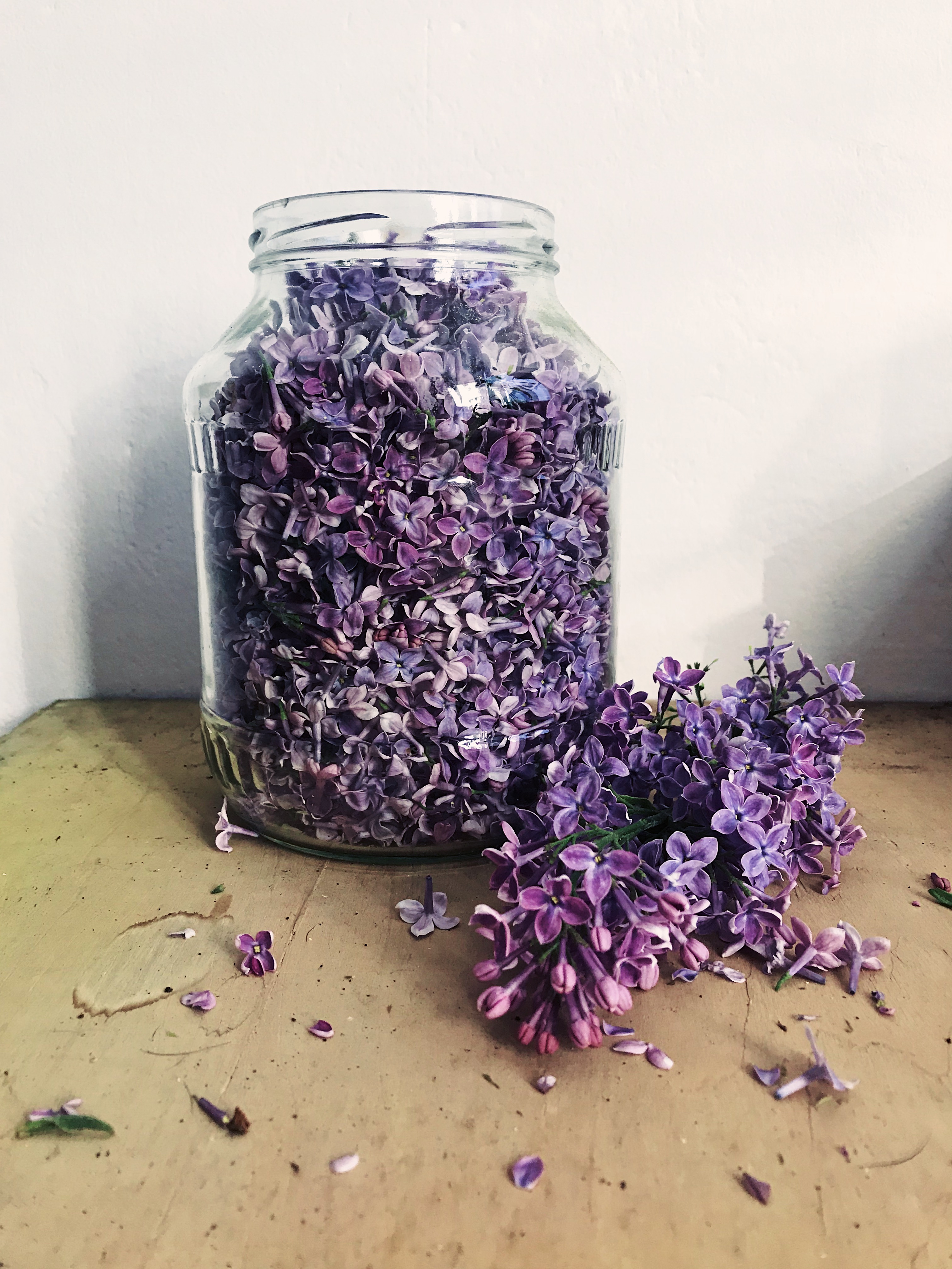 Processed with VSCO with nc preset