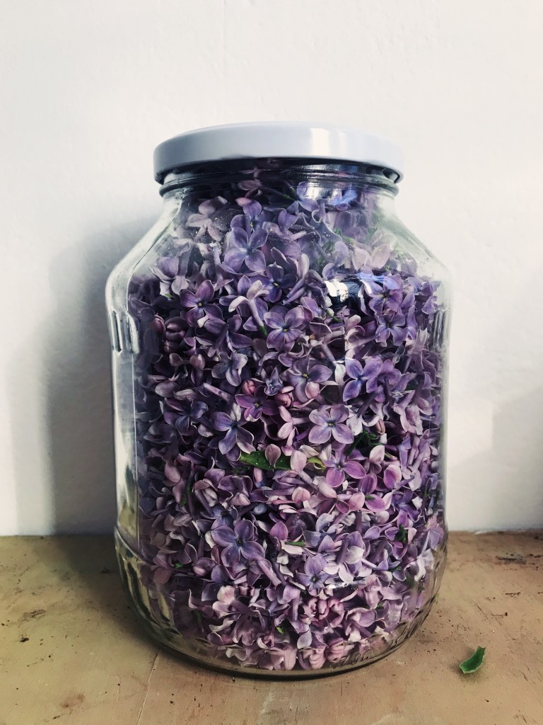 Processed with VSCO with nc preset