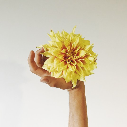 Processed with VSCO with f2 preset