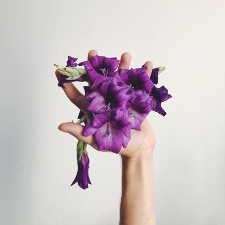 255f2844-21e5-4ebd-b183-5f70a6aa6c35