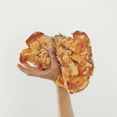 45ee3c1d-6601-49b3-a92c-232bfc815662