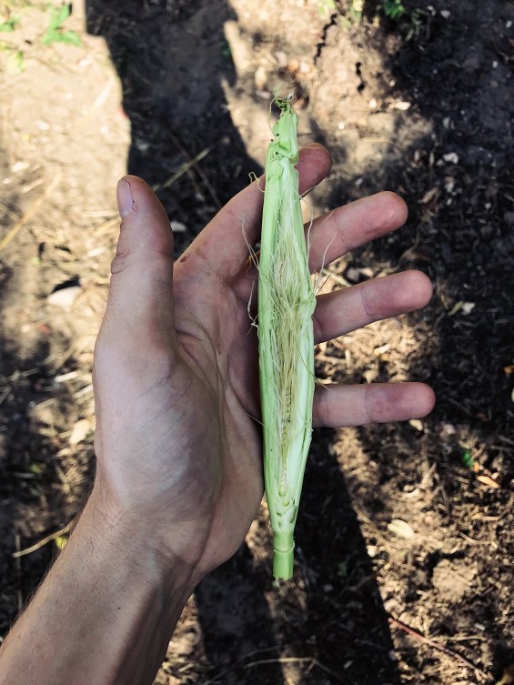 Processed with VSCO with nc preset