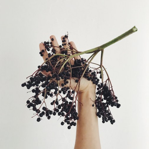 e225cdd5-6f62-4349-b45b-58abb505491e